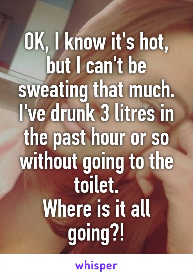 OK, I know it's hot, but I can't be sweating that much.
I've drunk 3 litres in the past hour or so without going to the toilet.
Where is it all going?!