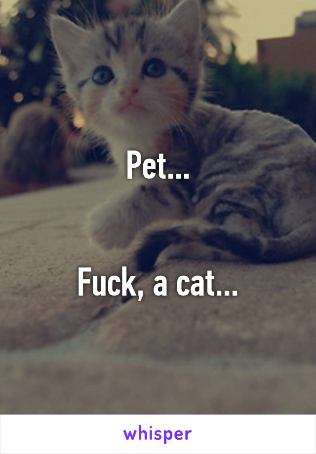 Pet...


Fuck, a cat...