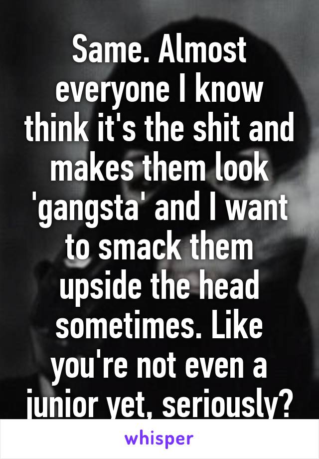 Same. Almost everyone I know think it's the shit and makes them look 'gangsta' and I want to smack them upside the head sometimes. Like you're not even a junior yet, seriously?