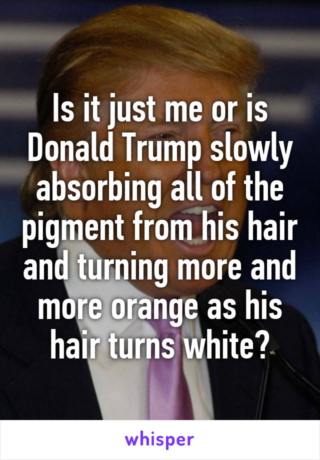 Is it just me or is Donald Trump slowly absorbing all of the pigment from his hair and turning more and more orange as his hair turns white?