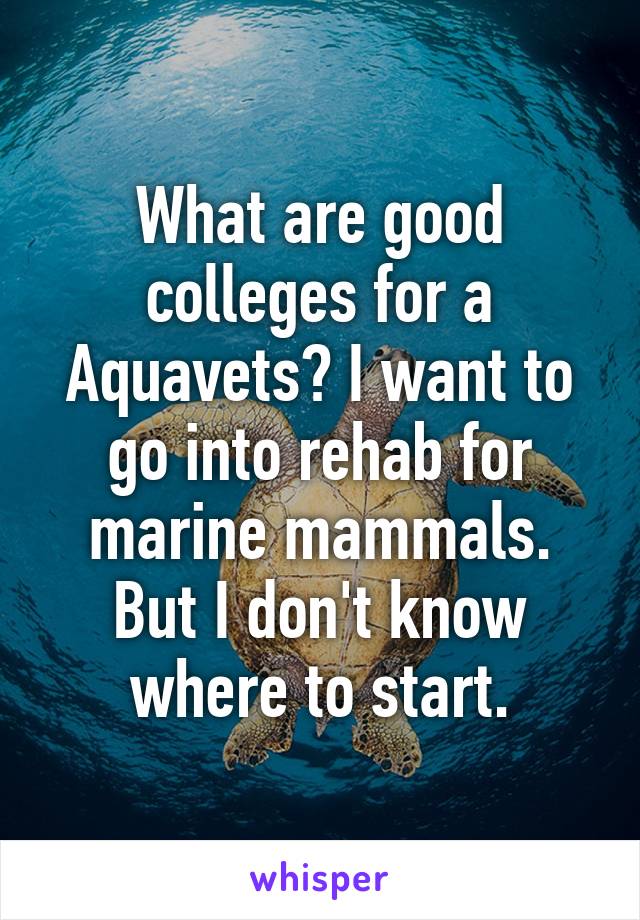 What are good colleges for a Aquavets? I want to go into rehab for marine mammals. But I don't know where to start.