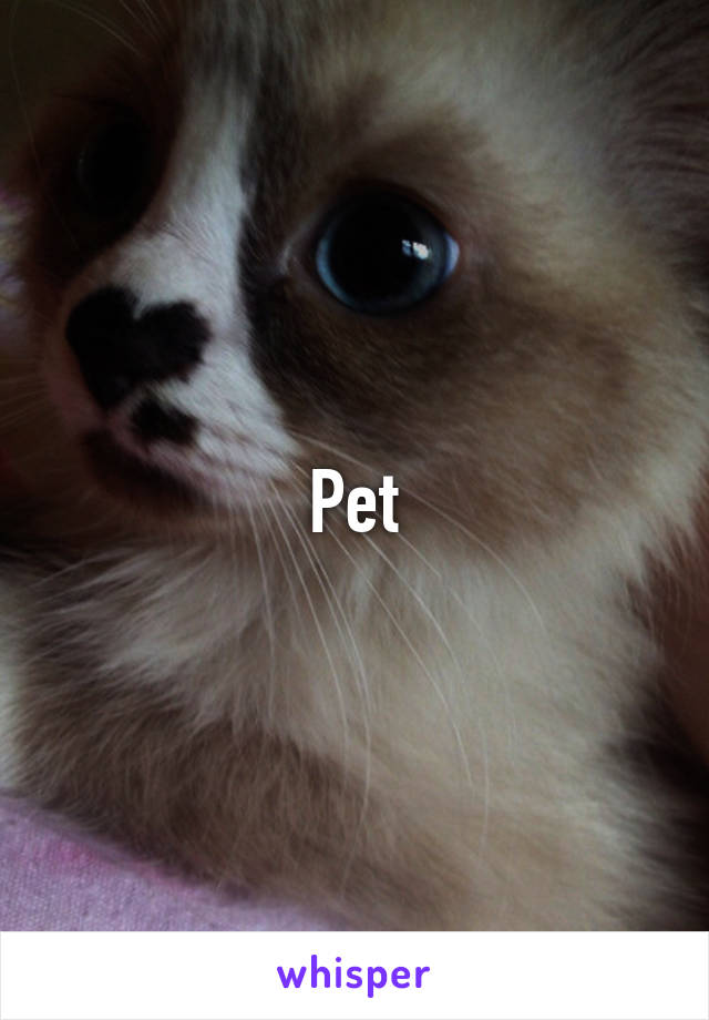 Pet