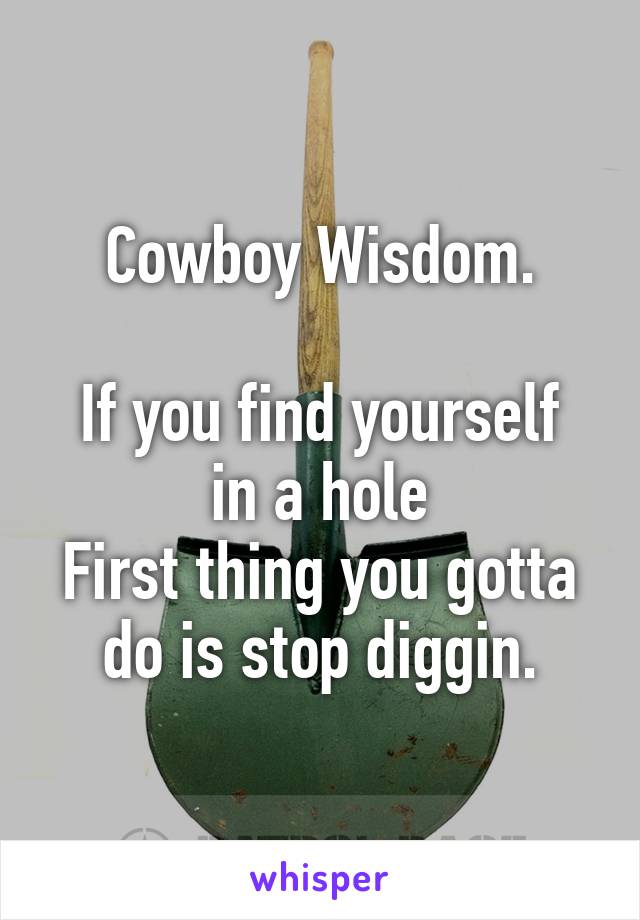 Cowboy Wisdom.

If you find yourself in a hole
First thing you gotta do is stop diggin.