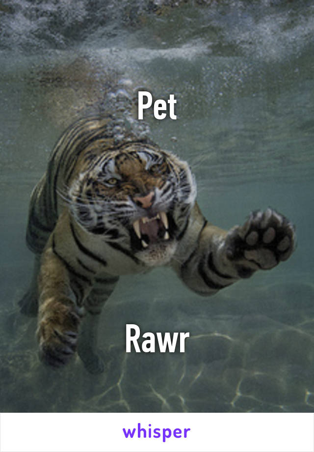 Pet





Rawr