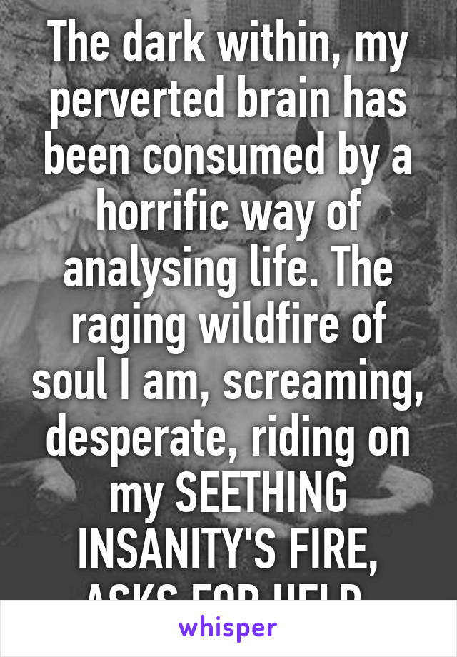 The dark within, my perverted brain has been consumed by a horrific way of analysing life. The raging wildfire of soul I am, screaming, desperate, riding on my SEETHING INSANITY'S FIRE, ASKS FOR HELP.