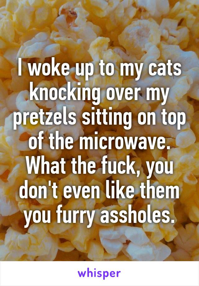 I woke up to my cats knocking over my pretzels sitting on top of the microwave. What the fuck, you don't even like them you furry assholes.