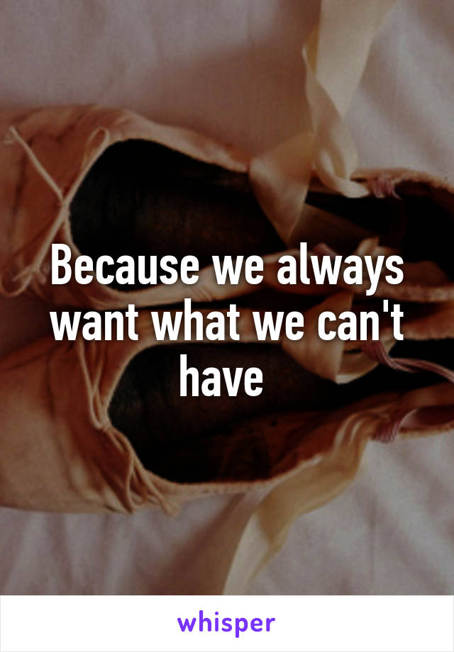 Because we always want what we can't have 