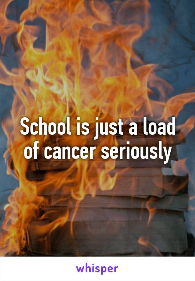 School is just a load of cancer seriously