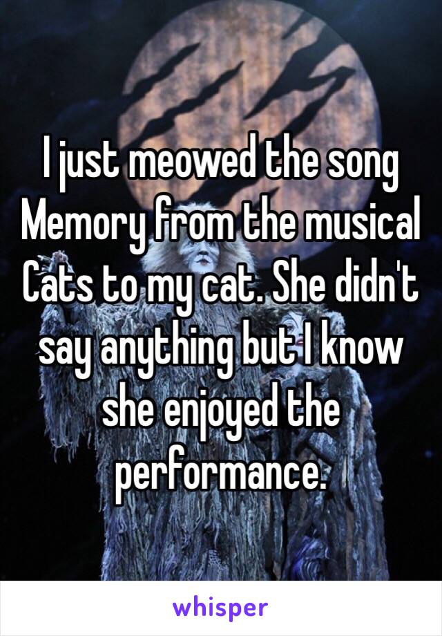 I just meowed the song Memory from the musical Cats to my cat. She didn't say anything but I know she enjoyed the performance. 