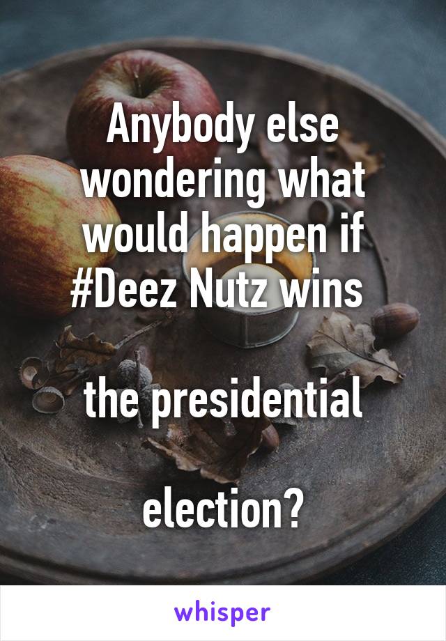 Anybody else wondering what would happen if #Deez Nutz wins 

the presidential

 election? 