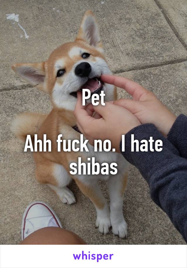 Pet

Ahh fuck no. I hate shibas