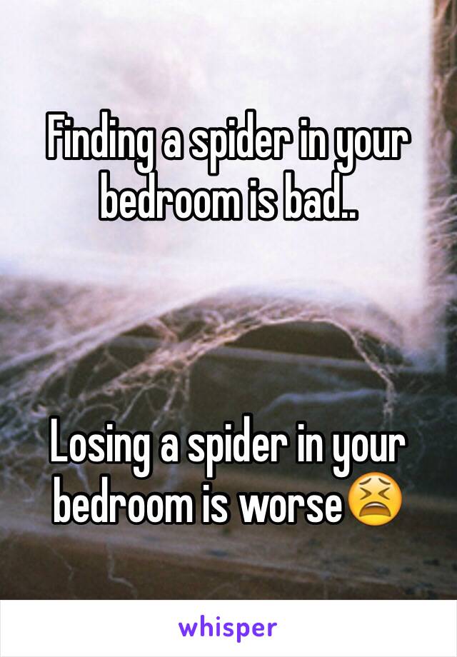 Finding a spider in your bedroom is bad..



Losing a spider in your bedroom is worse😫