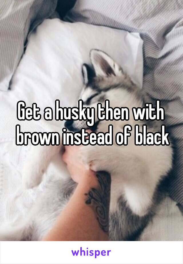 Get a husky then with brown instead of black