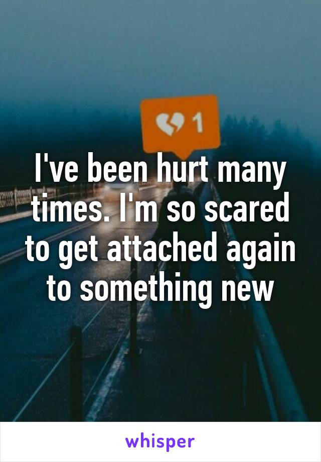 I've been hurt many times. I'm so scared to get attached again to something new