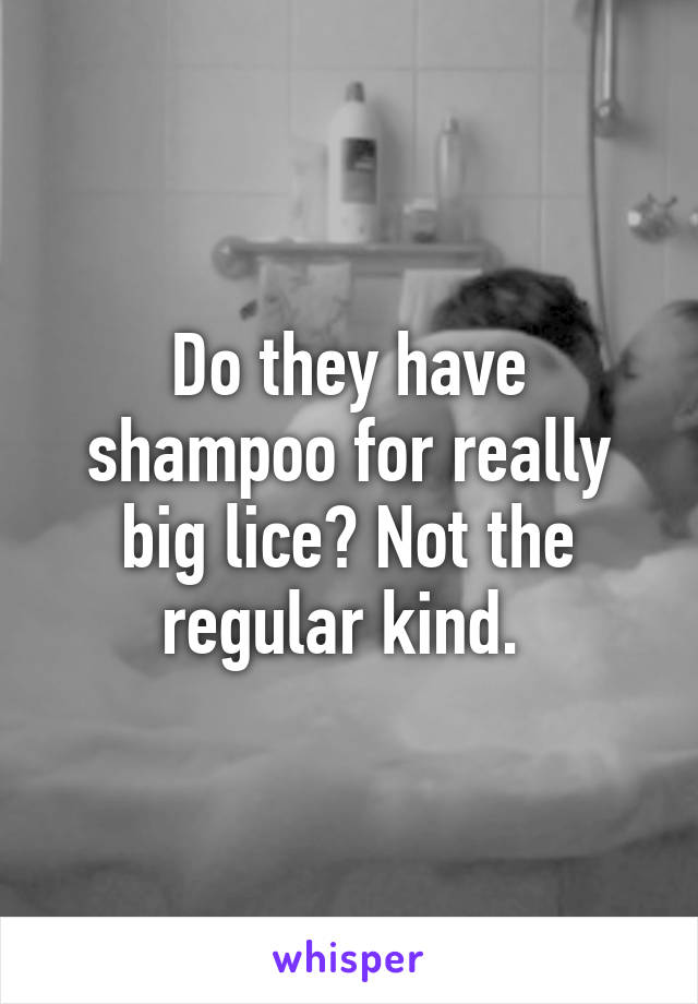 Do they have shampoo for really big lice? Not the regular kind. 