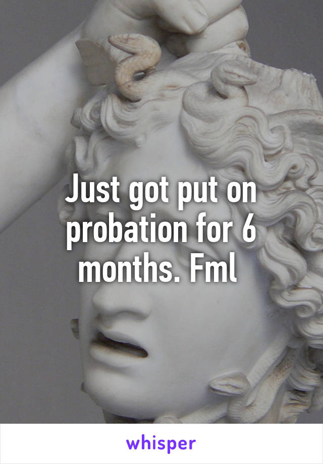 Just got put on probation for 6 months. Fml 