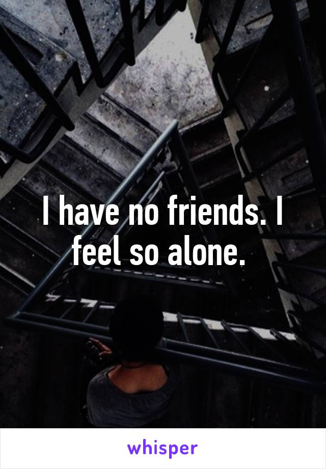 I have no friends. I feel so alone. 