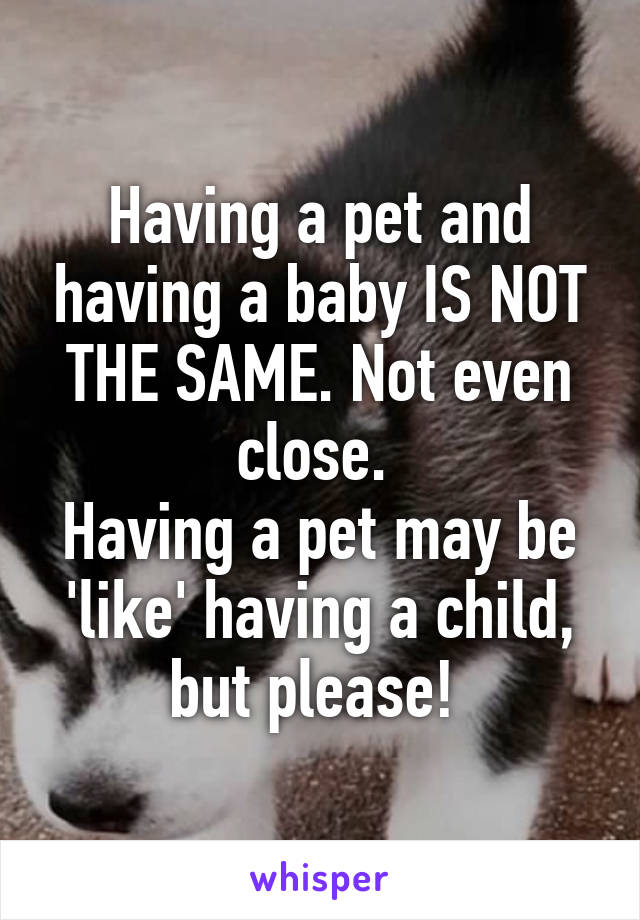 Having a pet and having a baby IS NOT THE SAME. Not even close. 
Having a pet may be 'like' having a child, but please! 