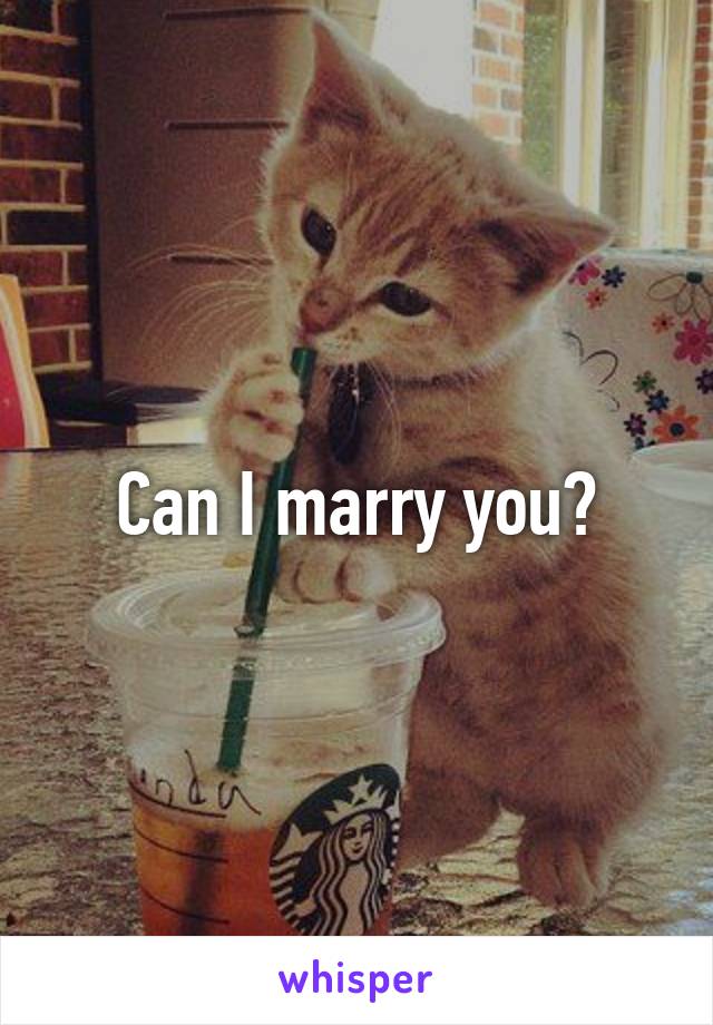 Can I marry you?