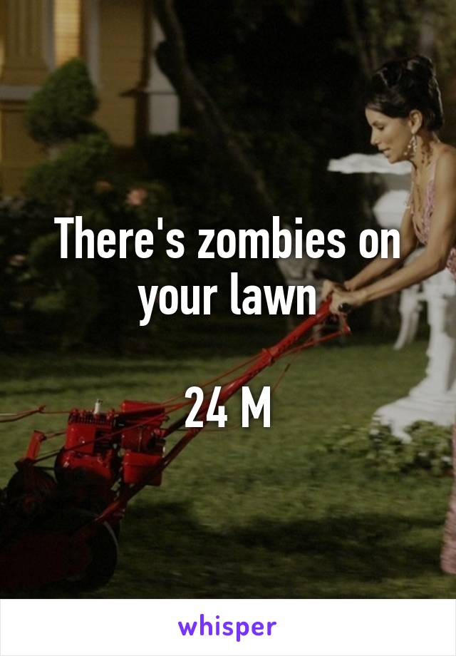 There's zombies on your lawn

24 M