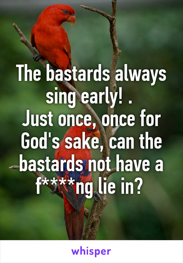 The bastards always sing early! . 
Just once, once for God's sake, can the bastards not have a f****ng lie in? 