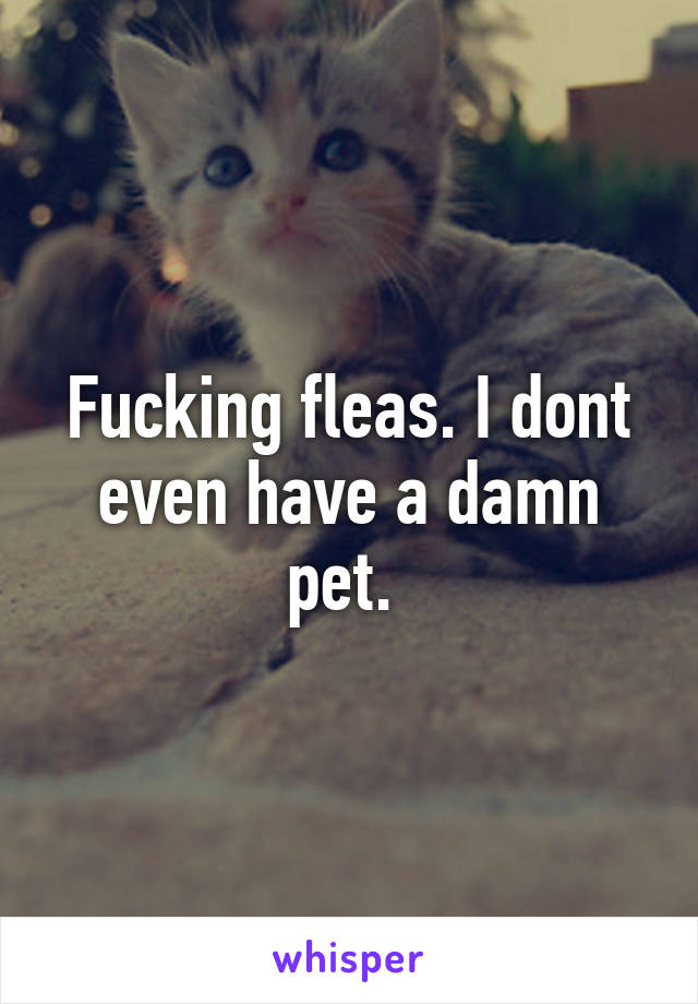 Fucking fleas. I dont even have a damn pet. 