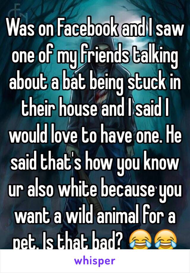 Was on Facebook and I saw one of my friends talking about a bat being stuck in their house and I said I would love to have one. He said that's how you know ur also white because you want a wild animal for a pet. Is that bad? 😂😂