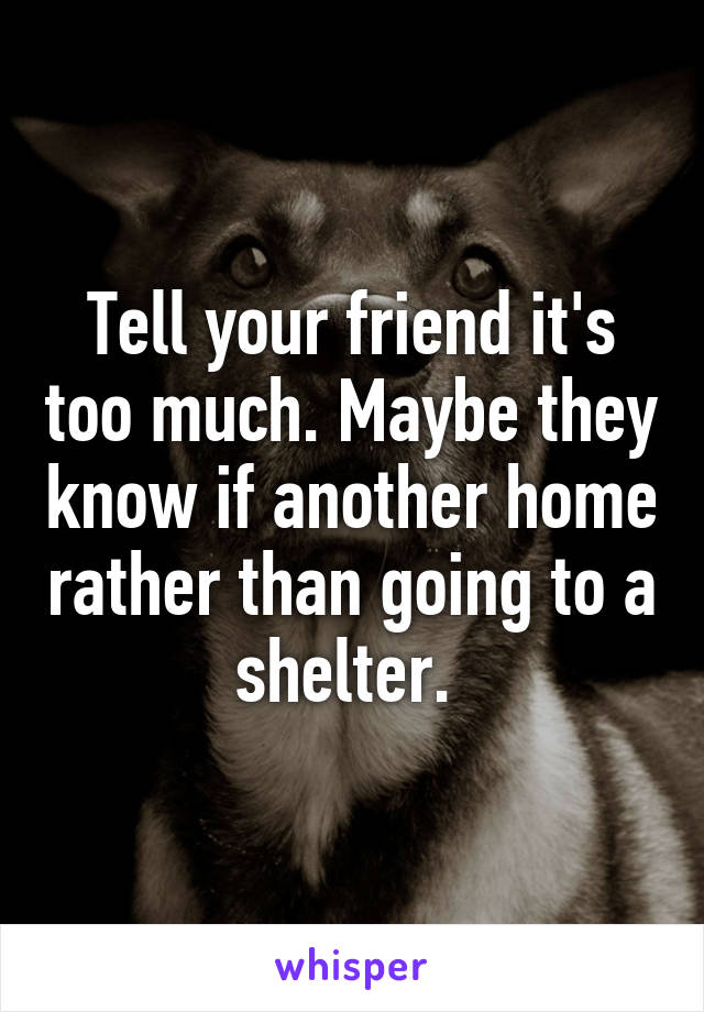 Tell your friend it's too much. Maybe they know if another home rather than going to a shelter. 