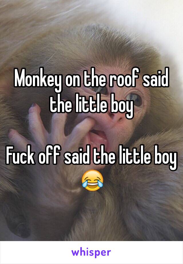 Monkey on the roof said the little boy 

Fuck off said the little boy 😂