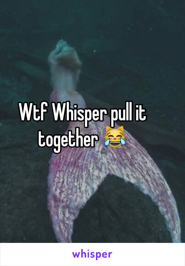 Wtf Whisper pull it together 😹