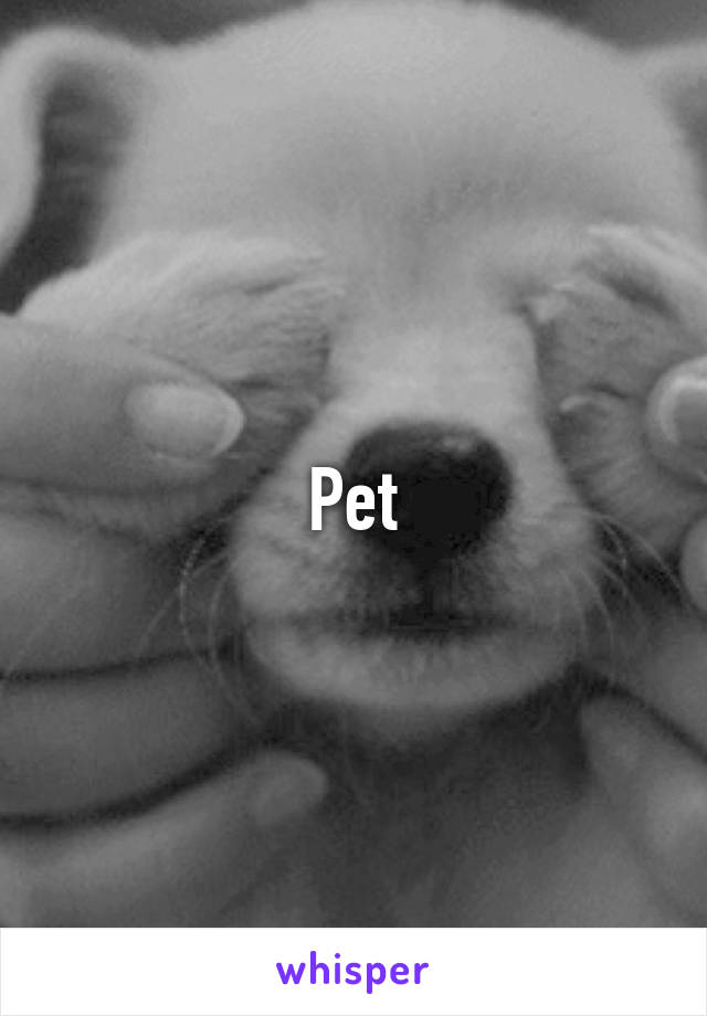 Pet