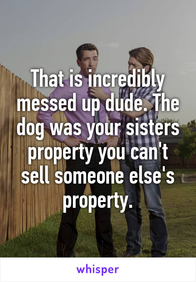 That is incredibly messed up dude. The dog was your sisters property you can't sell someone else's property.