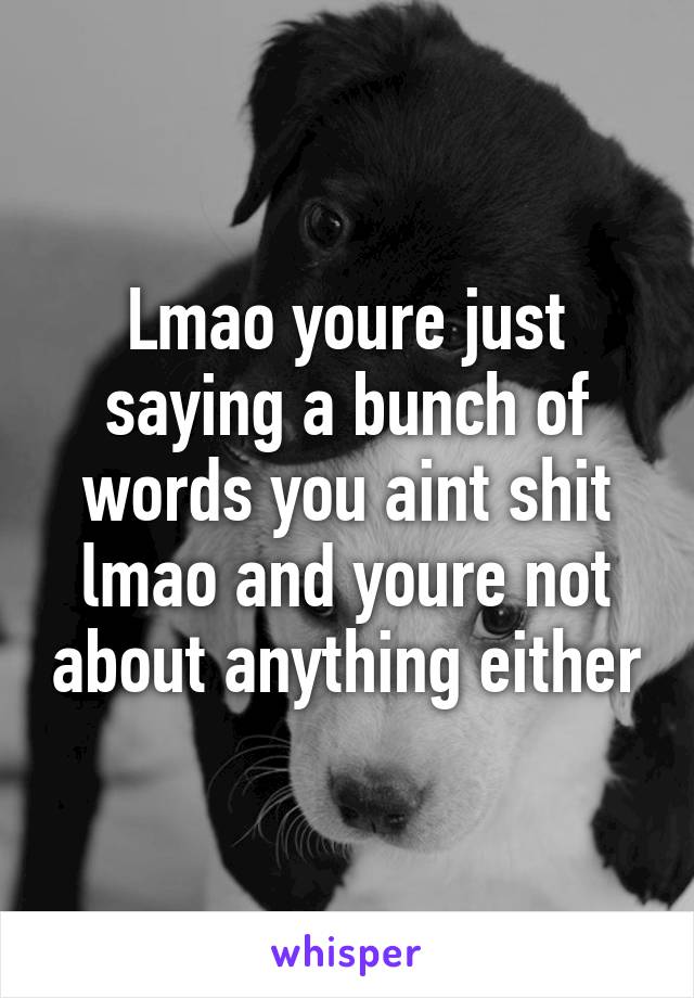 Lmao youre just saying a bunch of words you aint shit lmao and youre not about anything either