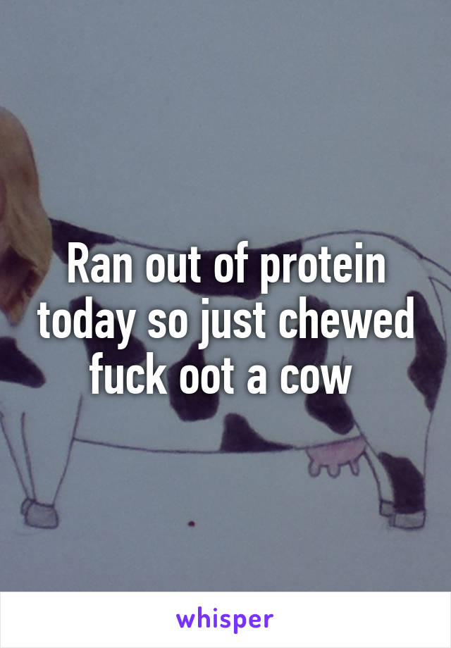 Ran out of protein today so just chewed fuck oot a cow 