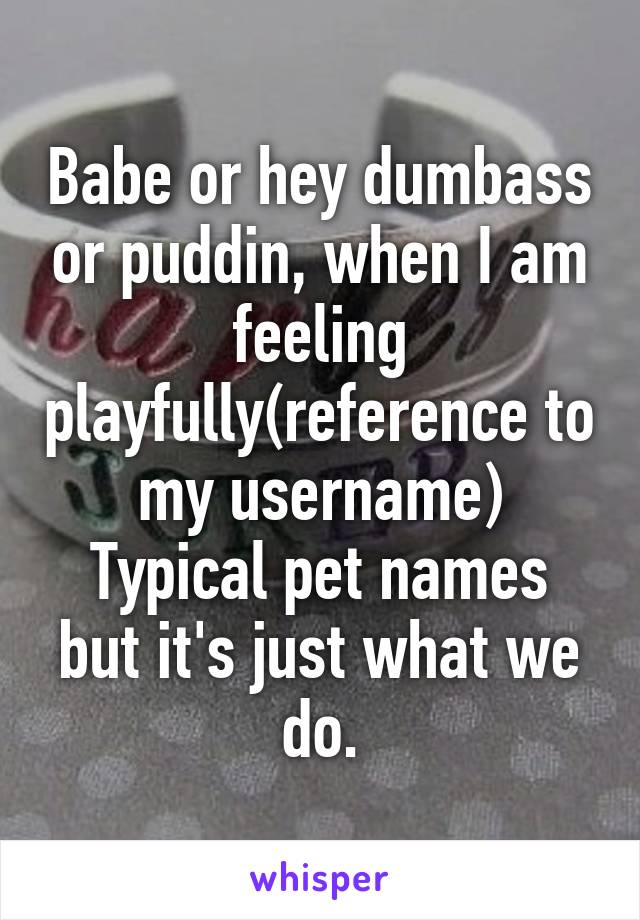 Babe or hey dumbass or puddin, when I am feeling playfully(reference to my username)
Typical pet names but it's just what we do.