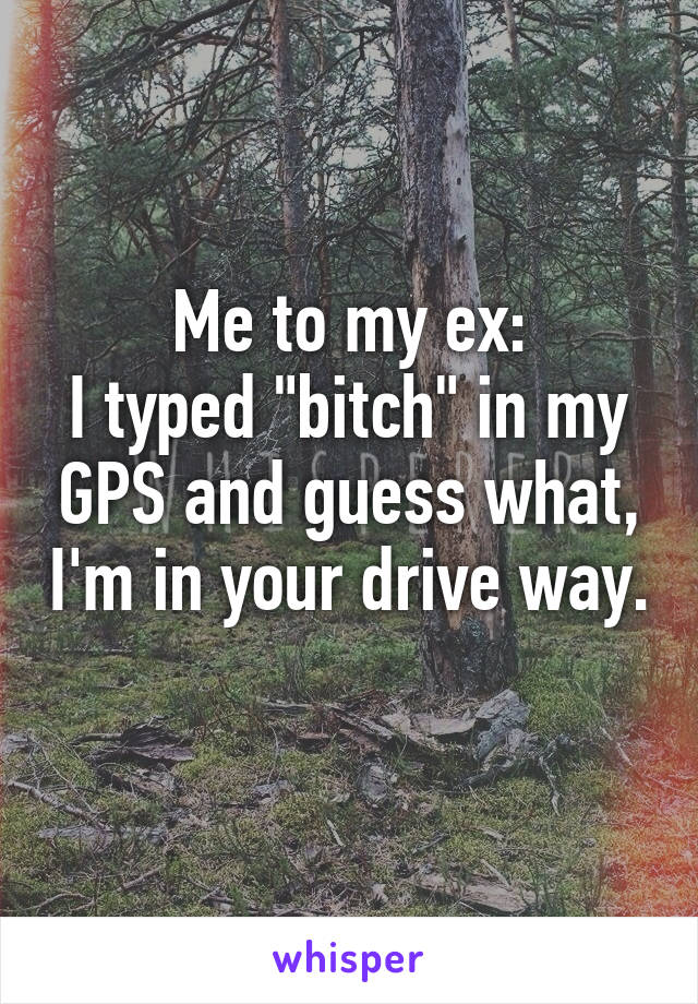 Me to my ex:
I typed "bitch" in my GPS and guess what, I'm in your drive way. 