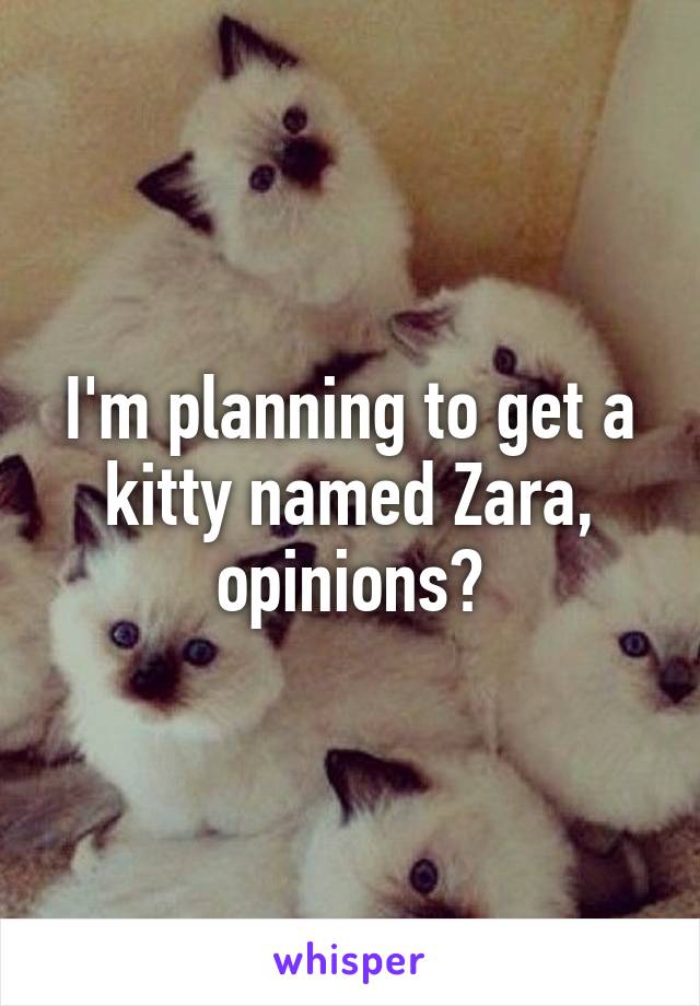 I'm planning to get a kitty named Zara, opinions?