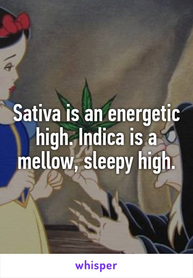 Sativa is an energetic high. Indica is a mellow, sleepy high.