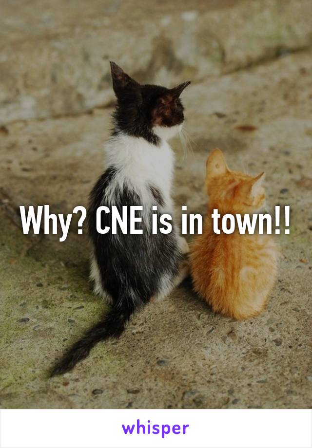 Why? CNE is in town!!