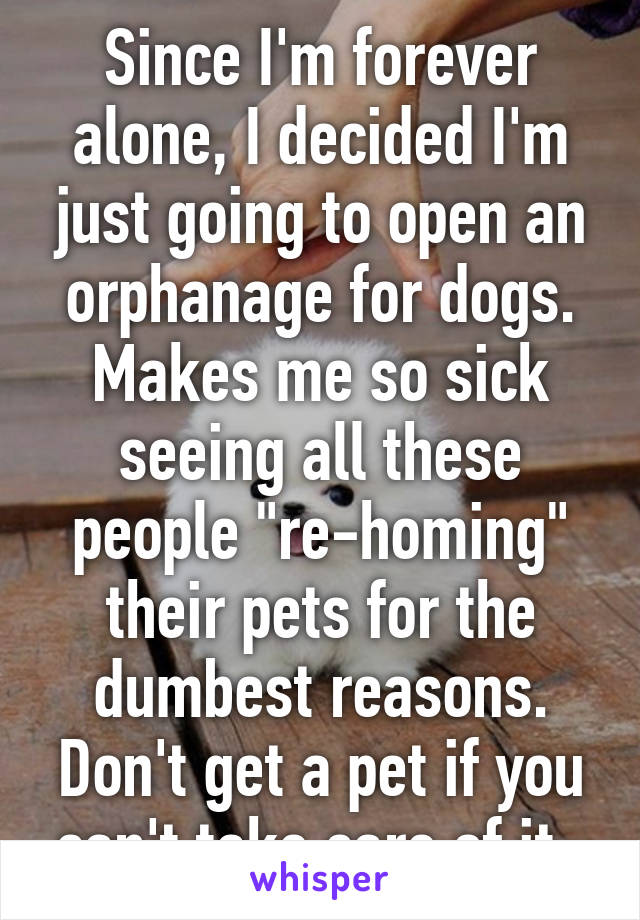 Since I'm forever alone, I decided I'm just going to open an orphanage for dogs. Makes me so sick seeing all these people "re-homing" their pets for the dumbest reasons. Don't get a pet if you can't take care of it. 