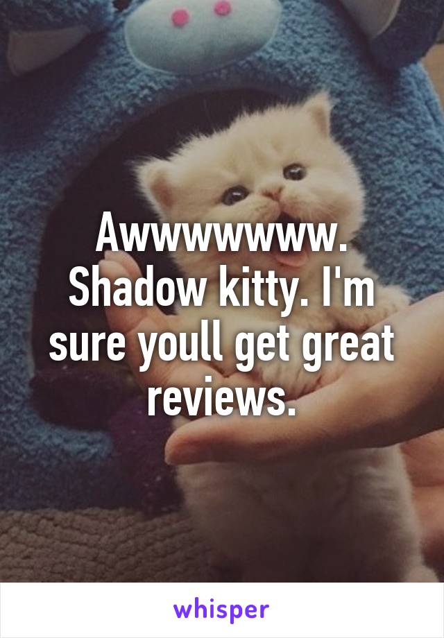 Awwwwwww. Shadow kitty. I'm sure youll get great reviews.