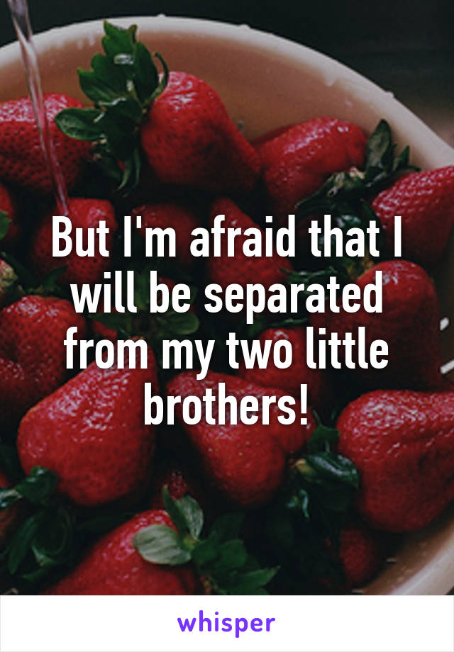 But I'm afraid that I will be separated from my two little brothers!