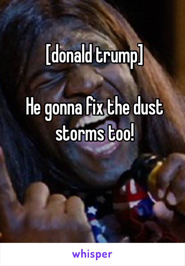 [donald trump]

He gonna fix the dust storms too!