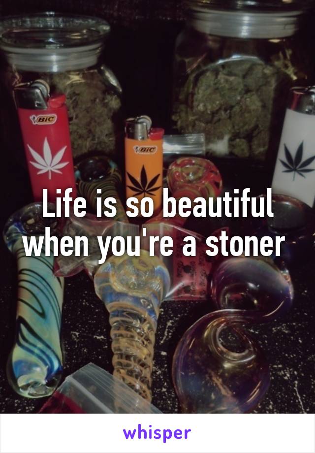 Life is so beautiful when you're a stoner 