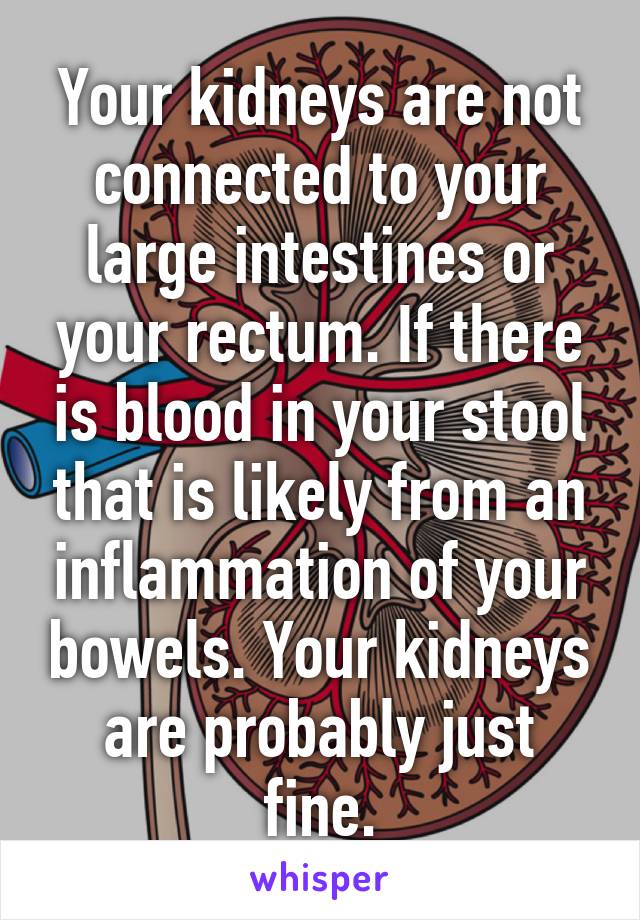 Your kidneys are not connected to your large intestines or your rectum. If there is blood in your stool that is likely from an inflammation of your bowels. Your kidneys are probably just fine.