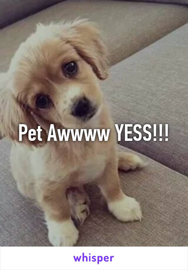 Pet Awwww YESS!!!