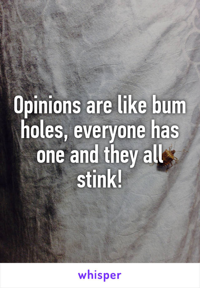 Opinions are like bum holes, everyone has one and they all stink!