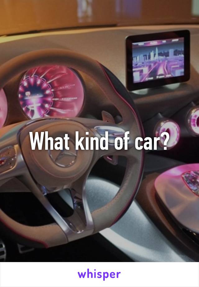 What kind of car?