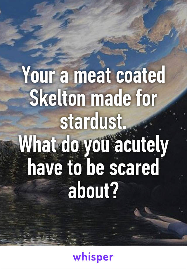 Your a meat coated Skelton made for stardust.
What do you acutely have to be scared about?