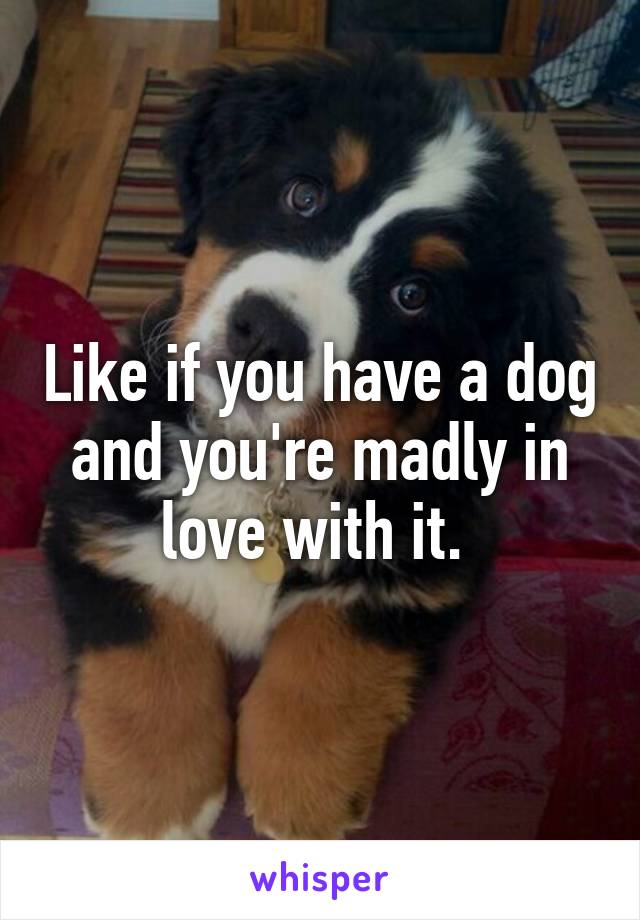 Like if you have a dog and you're madly in love with it. 